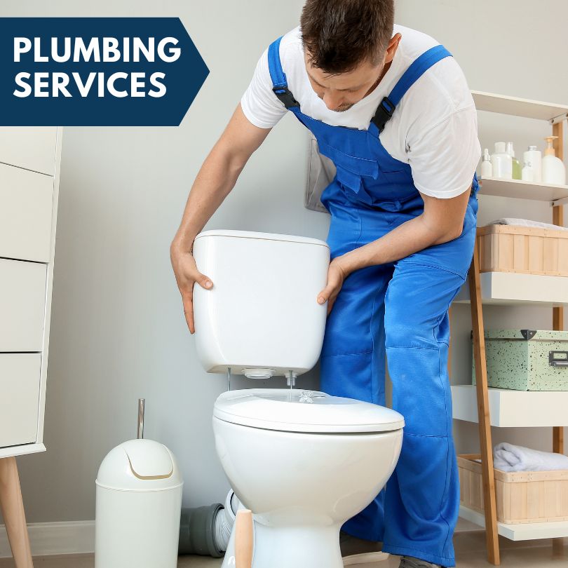 Plumbing Company in Owendale, MI